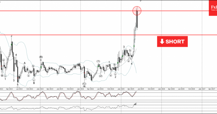 外国為替-Monero Wave Analysis  –  2025年5月30日|テクニカル分析2025年5月31日
