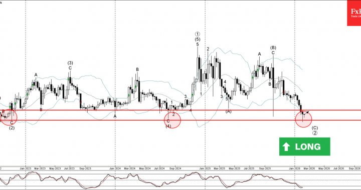 ライトコインの波動分析 – 2026 年 2 月 13 日 – FxPro ニュース、金融市場分析